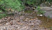 Excursión Senderismo Waimes - hautes fagnes  - Photo 13