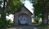 Tour Zu Fuß Mengerschied - Traumschleife Soonwald - Photo 6