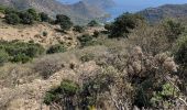 Tour Wandern Roses - Plat des gâtte depuis le dolmen (aller simple) - Photo 2