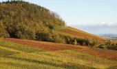 Randonnée A pied Sachsenheim - Weitblickweg Hohenhaslach - Photo 6