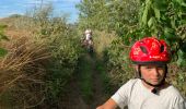 Excursión Bicicleta híbrida Mons - Jardin suspendu - Photo 2