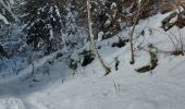 Percorso Racchette da neve Les Houches - 20230130 Les Houches Christ Roi - Photo 1