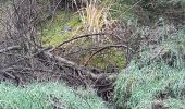 Trail Walking Theux - autour de bronromme et monthouet  - Photo 2