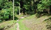 Randonnée Marche Fréteval - Fréteval - Etang Champs Bois Donjon - Photo 5