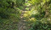 Trail Walking Brières-les-Scellés - Brières-les-Scellés - Photo 15