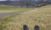 Trail Walking Kaltenborn - Hohe Acht - Photo 10