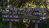 Randonnée Marche Cilaos - Le point de vue de Cap Bouteille, via Col Choupette - Photo 1