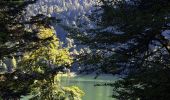 Tocht Stappen La Bresse - VOSGES 2023 - Jour 1 - Le Lac aux Corbeaux - Photo 15