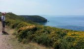 Excursión Senderismo Plévenon - Cap Fréhel - 2017 06 22 - Photo 13