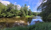 Tour Wandern Florenville - rando chassepierre 12-07-2023 - Photo 7