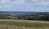 Excursión Senderismo Villeneuve-sur-Yonne - Villeneuve sur yonne - Photo 2