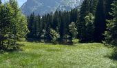 Excursión Senderismo Livet-et-Gavet - Lac du Fourchu  - Photo 14