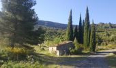 Tour Esel-Trekking Tuchan - cathare 3 Tuchan Duilhac sous peyrepertuse  - Photo 12