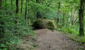Trail Walking Saint-Junien - sentier Corot - Photo 2