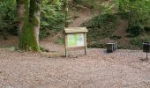 Excursión Senderismo Bouillon - Au départ de l'abbaye de Cordemois  - Photo 3