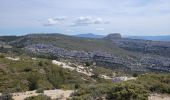 Excursión Senderismo Allauch - le pic du Taoumé par Pichauris - Photo 4