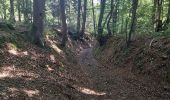 Trail Walking Valorbiquet - St Cyr du Ronceray  - Photo 10
