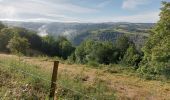 Trail Walking Neuvéglise-sur-Truyère - près du camping Le Belvédère  - Photo 2