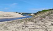 Tocht Mountainbike Messanges - vieux boucau vers courant de Huchet - Photo 1