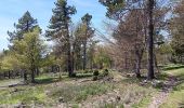Tour Wandern Aurel - Le Pas de la Frache - Photo 19