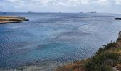 Tour Wandern Marsaxlokk - MALTE 2024 / 05 Marsaxlokk to Marsaskalla - Photo 14