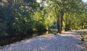 Tour Wandern Saint-Maurice-Navacelles - Nacelles  La Vacquerie  - Photo 7