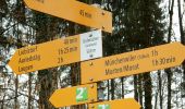 Trail On foot Murten - Oberburg - Ulmiz - Photo 2