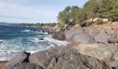 Tour Wandern Saint-Raphaël - sentier des douaniers Géologie/ Botanique - Photo 20