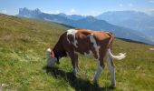 Trail Walking Urtijëi - St. Ulrich in Gröden - Ortisei - Raschötz Alm - Photo 20