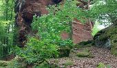 Tour Wandern Windstein - Windstein - Photo 4