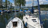 Tocht Stappen Seekirchen am Wallersee - Le tour du Wallersee - Photo 8