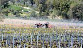 Percorso A piedi La Croix-Valmer - La Croix Valmer - Gigaro - Taillat - Collebasse - Gigaro - Photo 8