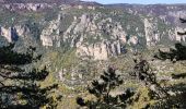 Tocht Stappen Le Rozier - les corniches du Méjean (la Jonte) - Photo 12