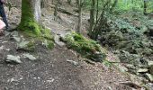 Trail Walking Jalhay -  Boucle de Charneux 17 Km  - Photo 15