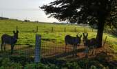 Tocht Stappen Borgworm - Waremme - Rocourt  - Photo 3