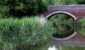 Tocht Te voet Wychavon - Droitwich Spa Diamond Jubilee Walk - Photo 9