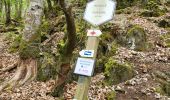 Trail Walking Houffalize - Engreux 050523 - Photo 14