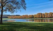 Tocht Stappen Versailles - Étangs de la Minière  - Photo 6