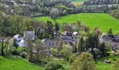 Tour Wandern Doische - Balade de Doische à Foisches - Photo 12