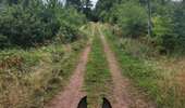 Trail Equestrian Porcelette - Wikiloc - Porcelette - Grotte des russes - Photo 18
