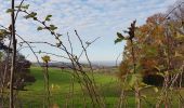 Tour Wandern Aubel - Abbaye de Val Dieu - Photo 8