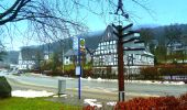 Percorso A piedi Schmallenberg - Golddorf-Route Oberkirchen - Photo 7