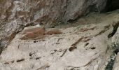 Tocht Stappen Cheval-Blanc - Gorges de Régalon - Photo 5