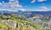 Tocht Stappen Esparron - Montagne de Rochefort via Esparron - Photo 6