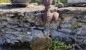 Trail Walking La Chapelle-en-Vercors - tour de loscense - Photo 2