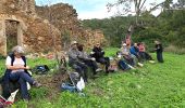Tour Wandern Hyères - Les Borels 