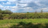 Trail Walking Waimes - baraque michel - botrange via fagne de polleur, retour via fagne wallonne  - Photo 5
