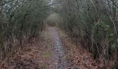 Trail Walking Theux - autour de croixpapet et vert-buisson - Photo 2