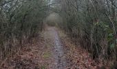 Tocht Stappen Theux - autour de croixpapet et vert-buisson - Photo 2