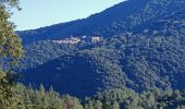 Tour Wandern Collobrières - les sources de la Giscle - Photo 4